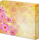 wide_image002003.png